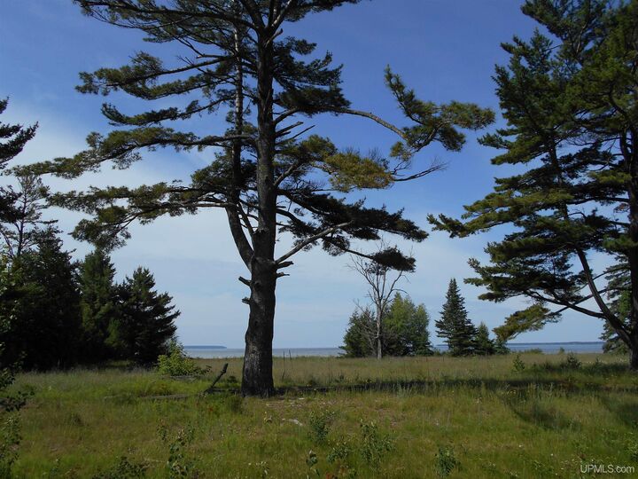 Property Photo:  16167 US Highway 2 Road  MI 49817 