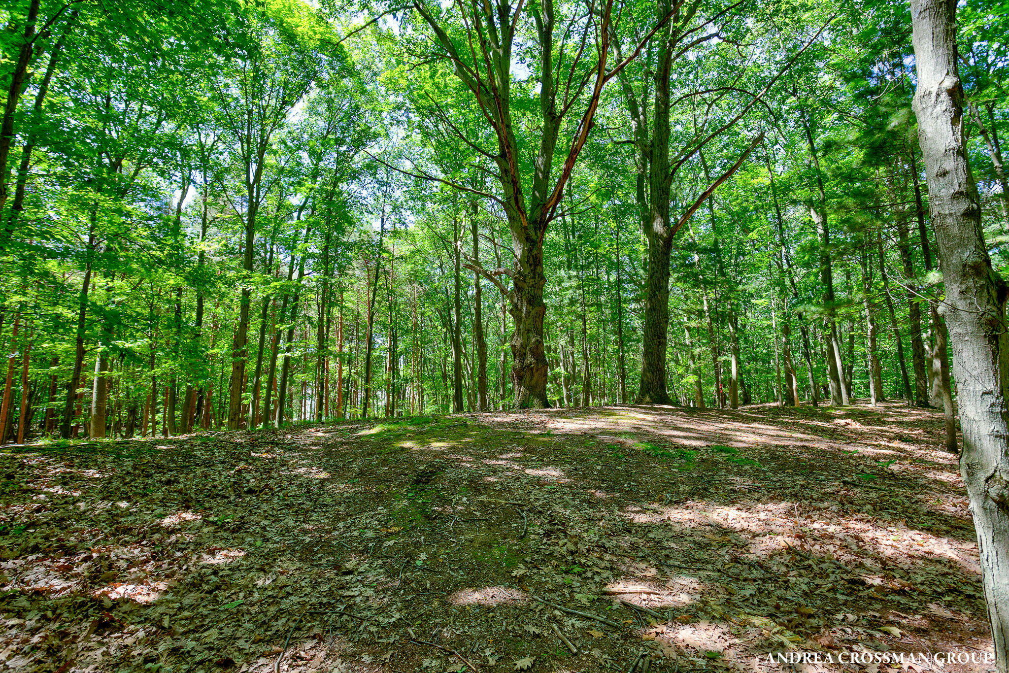 Property Photo: 0 Stonebridge Trail MI 49408