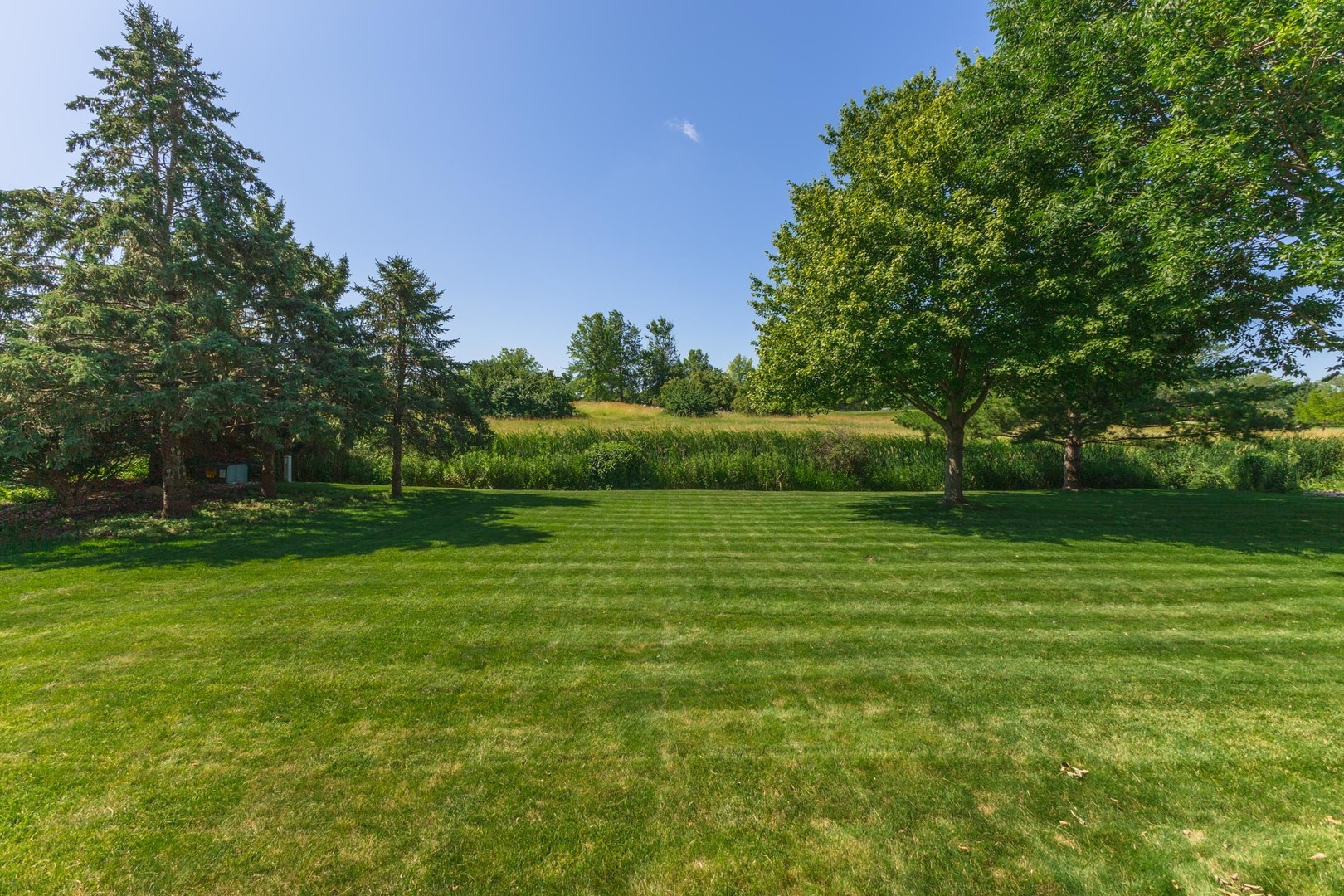 Property Photo:  605 Ironwood Cc Drive  IL 61761 