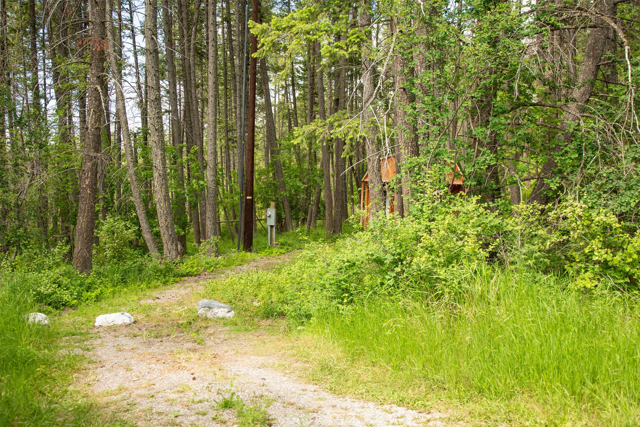 Property Photo: 9234 Mt Highway 35 MT 59911