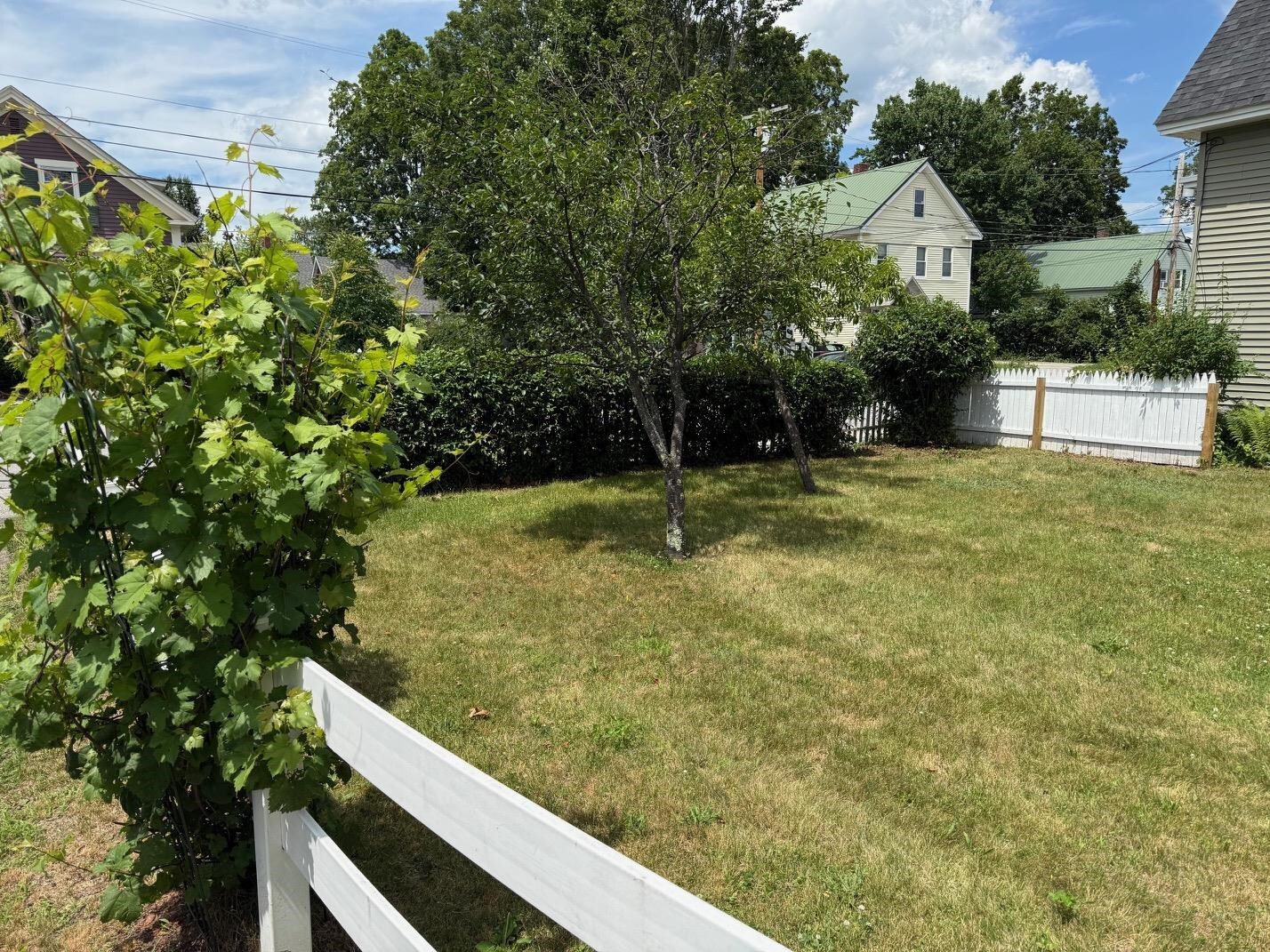 Property Photo:  25 Downing Street  NH 03301 