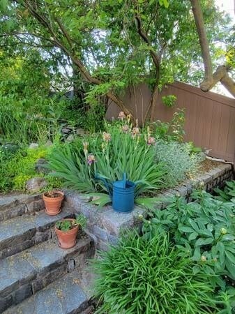 Property Photo:  17 Elmira St A  MA 02135 