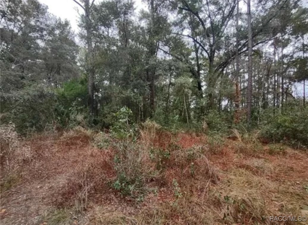 Property Photo:  9785 W Watermelon Lane  FL 34428 