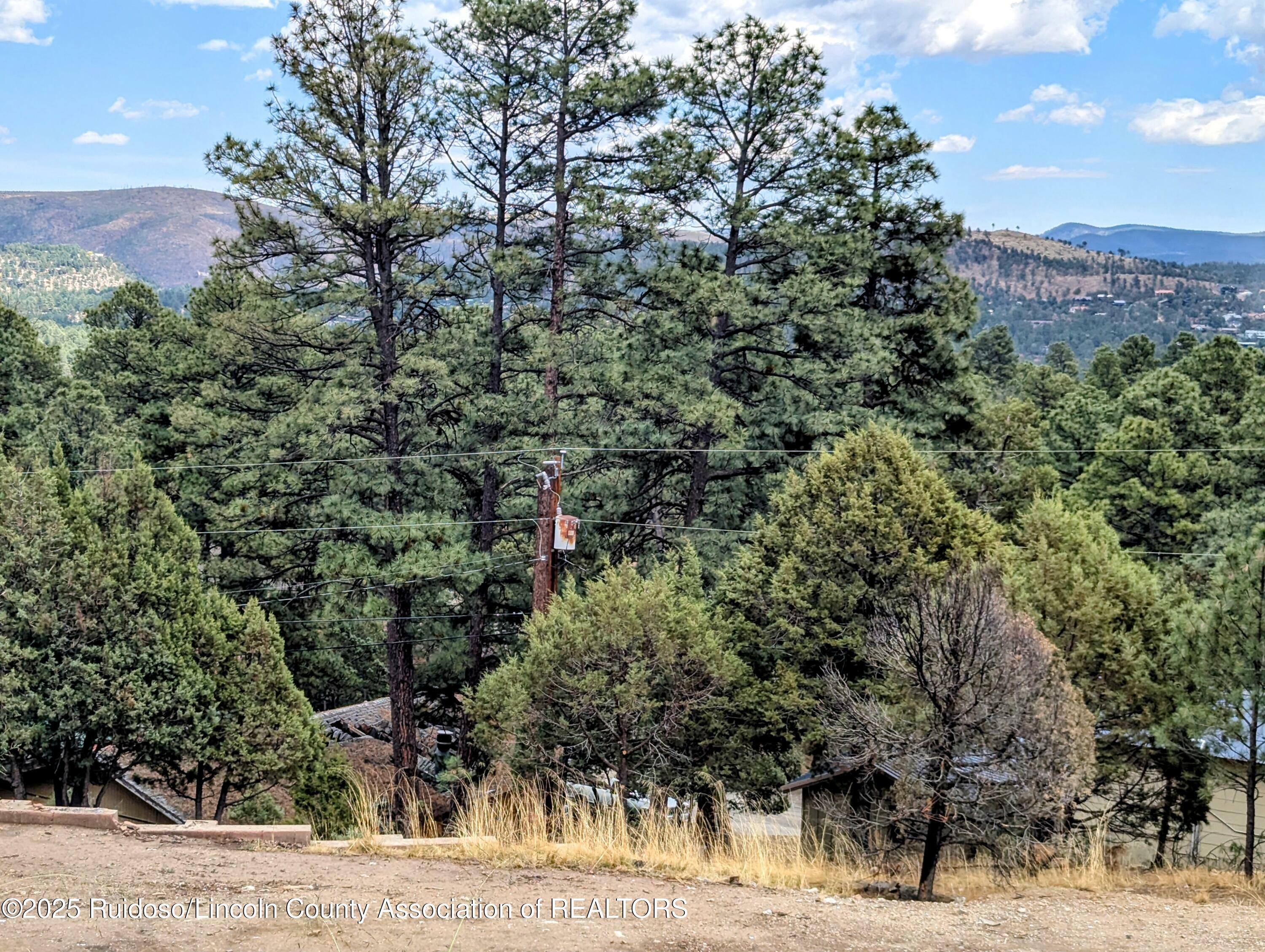 Property Photo: 114 White Pine Road NM 88345