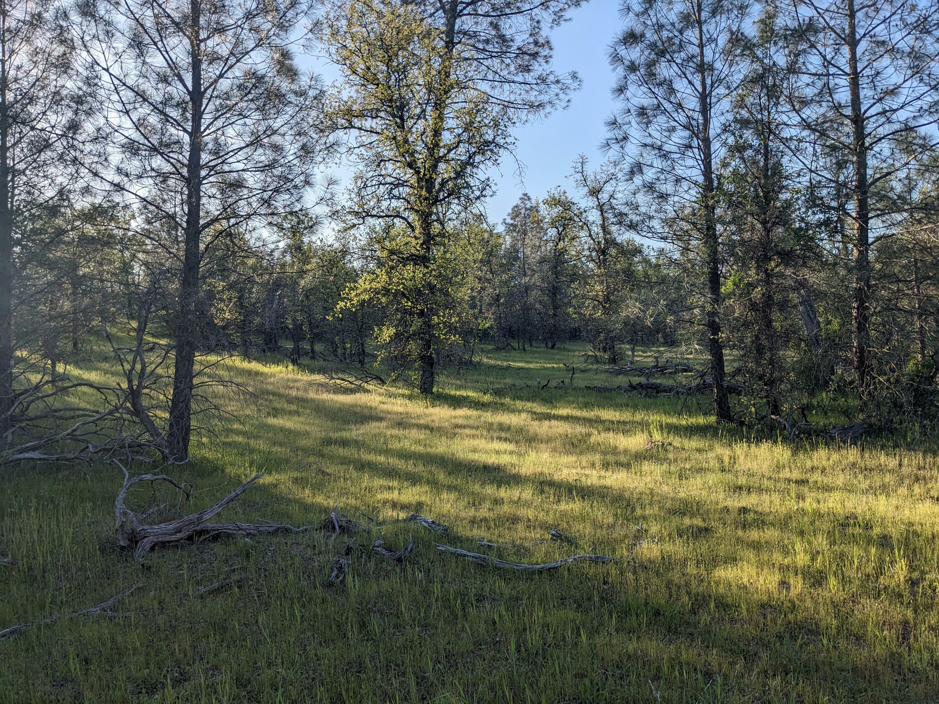 Property Photo: Lot 8 Neal Lane CA 96003