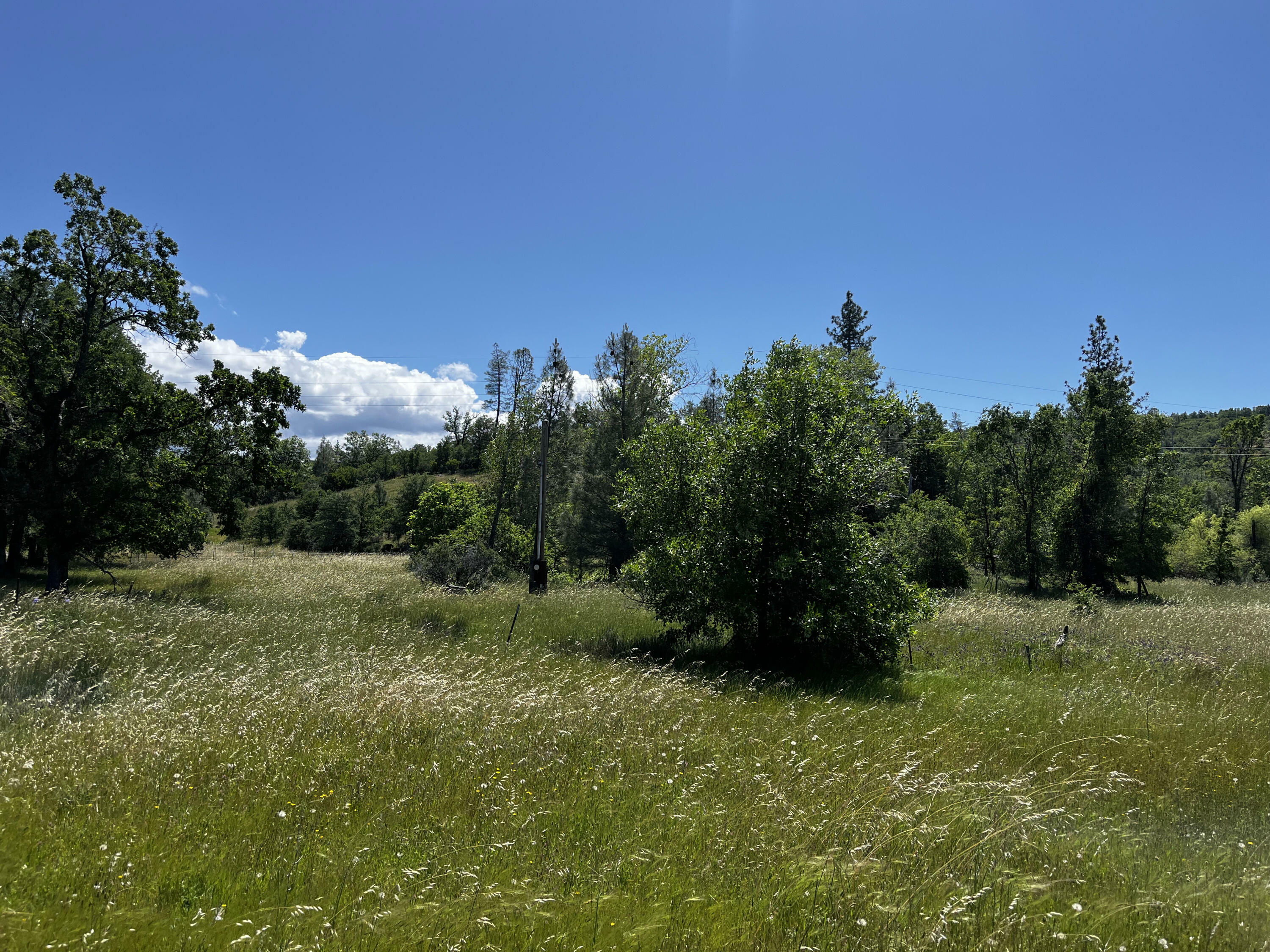 Property Photo:  29609 Cedar Creek School Road  CA 96084 