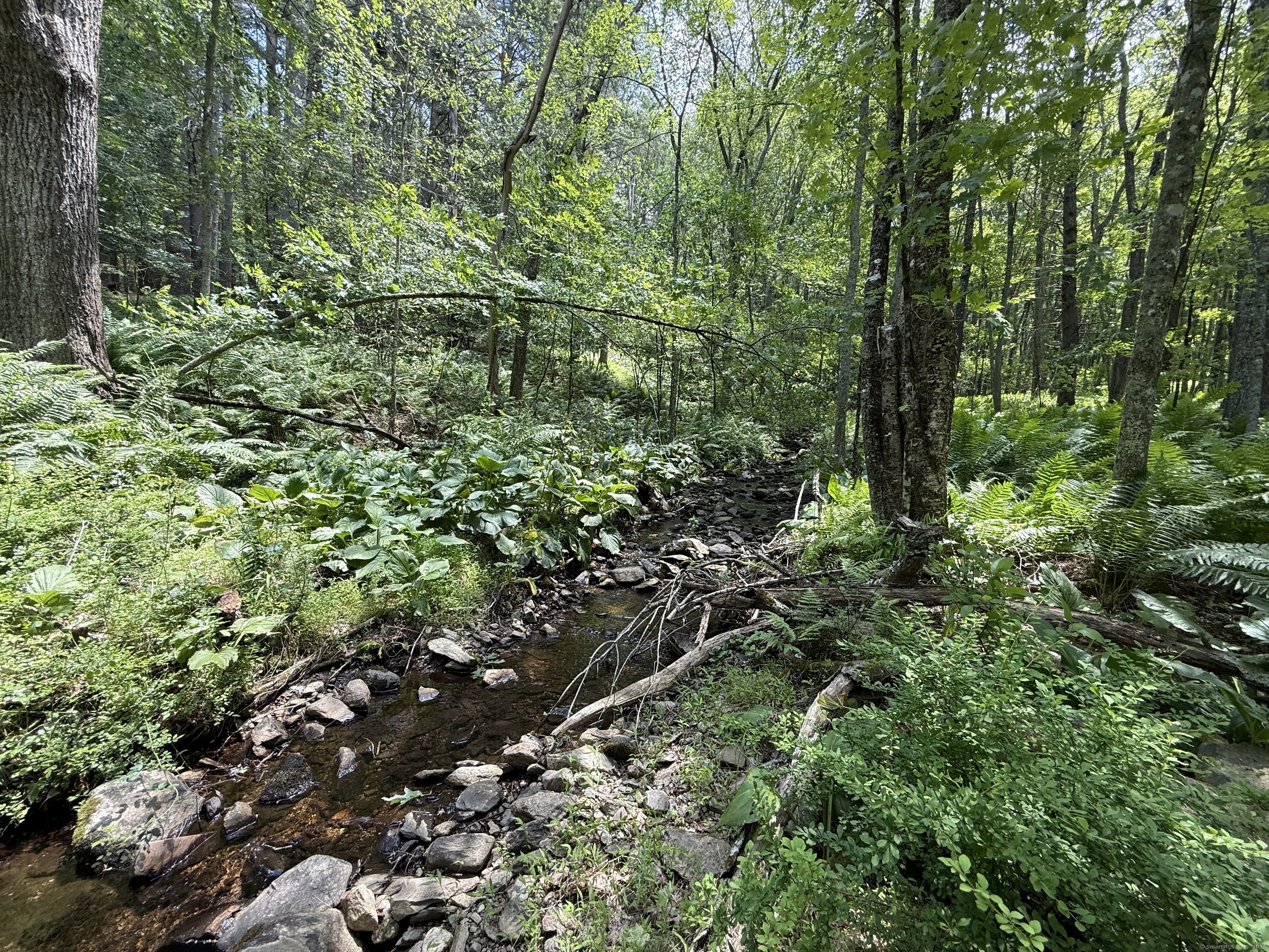 Property Photo: 350 Breakneck Hill Road CT 06241