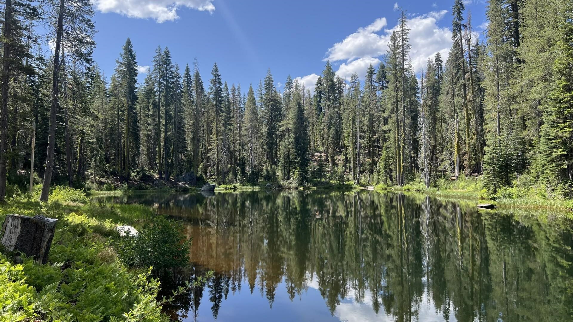 0000 Kidd Lakes Road  Soda Springs CA 95728 photo