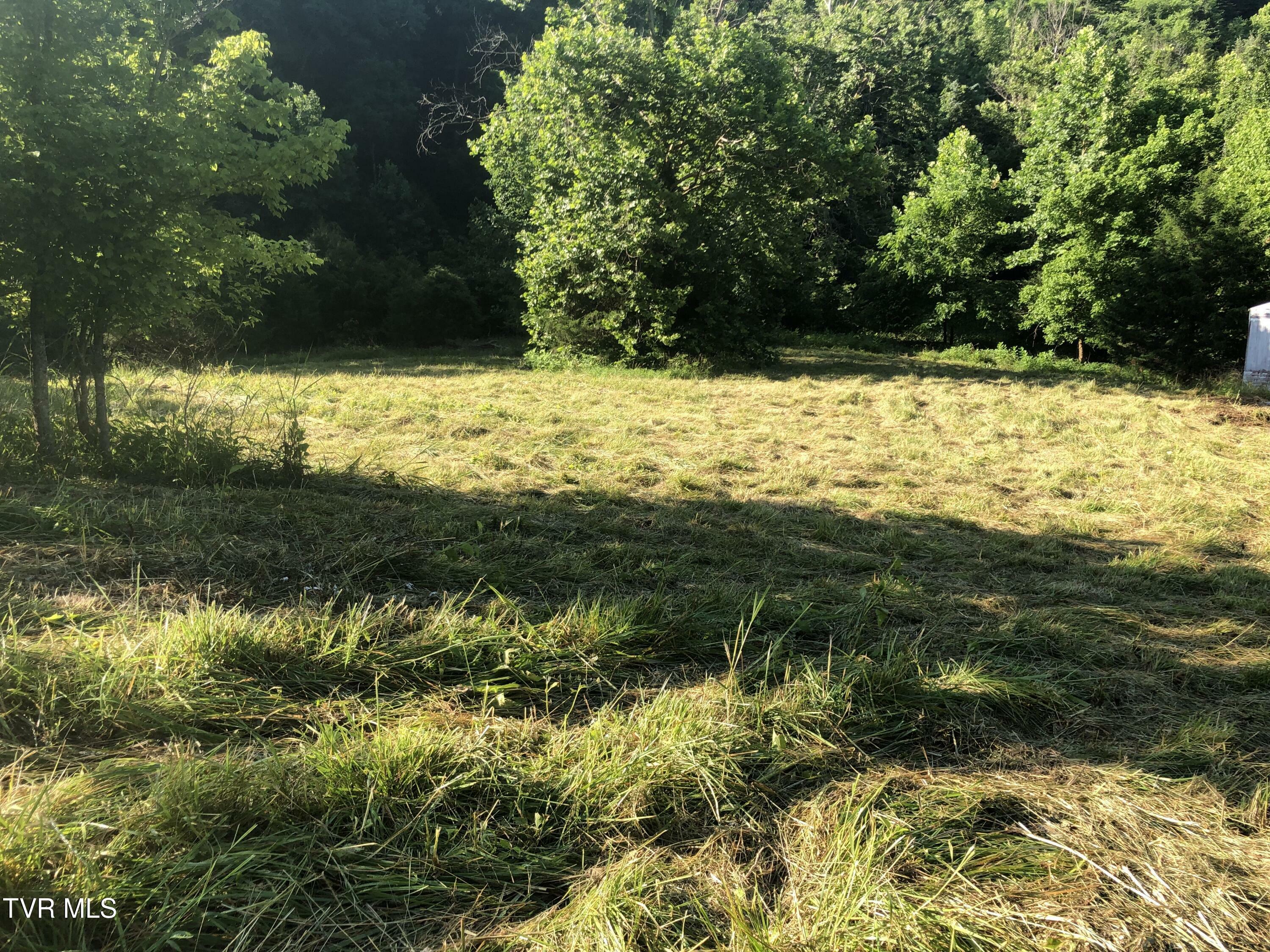 Property Photo: 501 Gottland Shoals Road TN 37617
