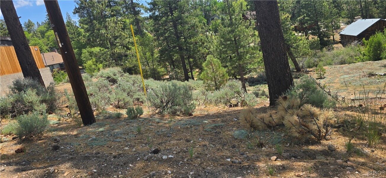 Property Photo:  0 Grey Back Trail  CA 92333 