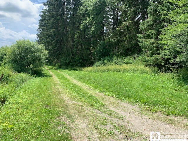 Property Photo: 905 Waterman Road NY 14747
