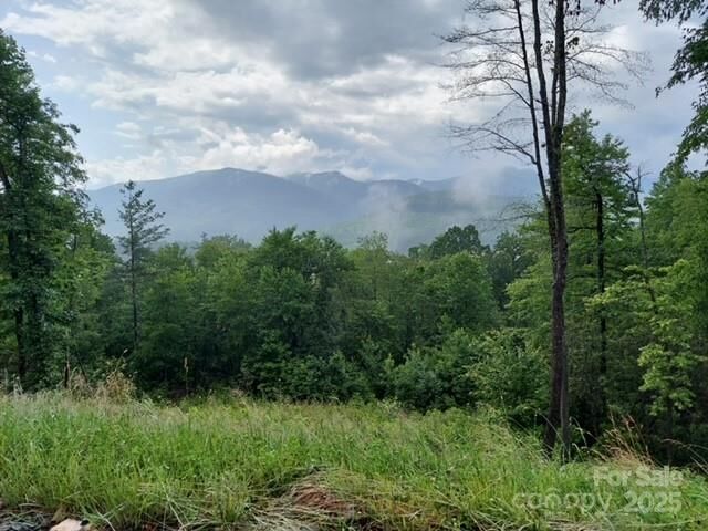 Property Photo:  Lot 19 Summit View Parkway  NC 28777 