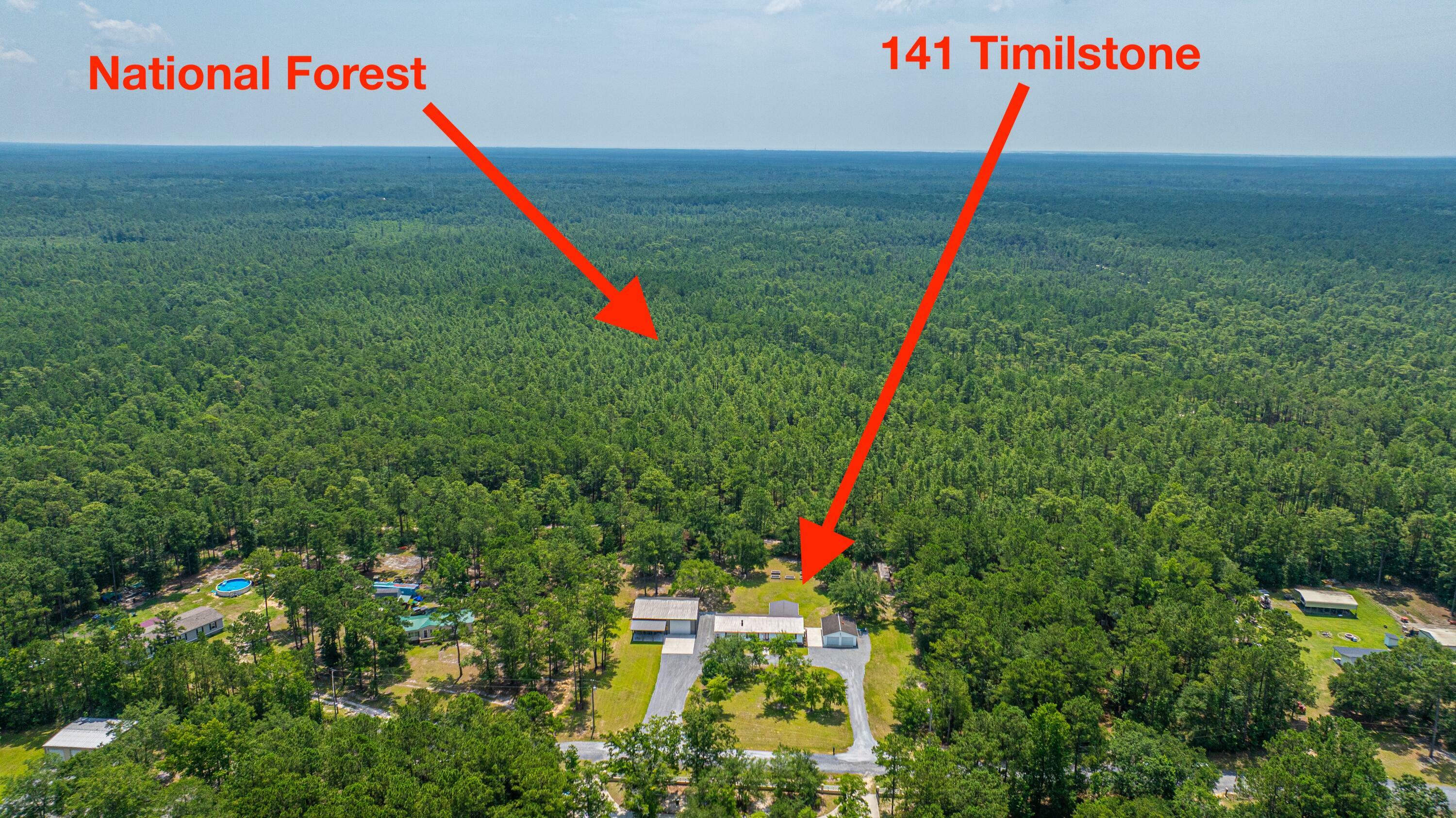 Property Photo: 141 Timilstone Court SC 29450