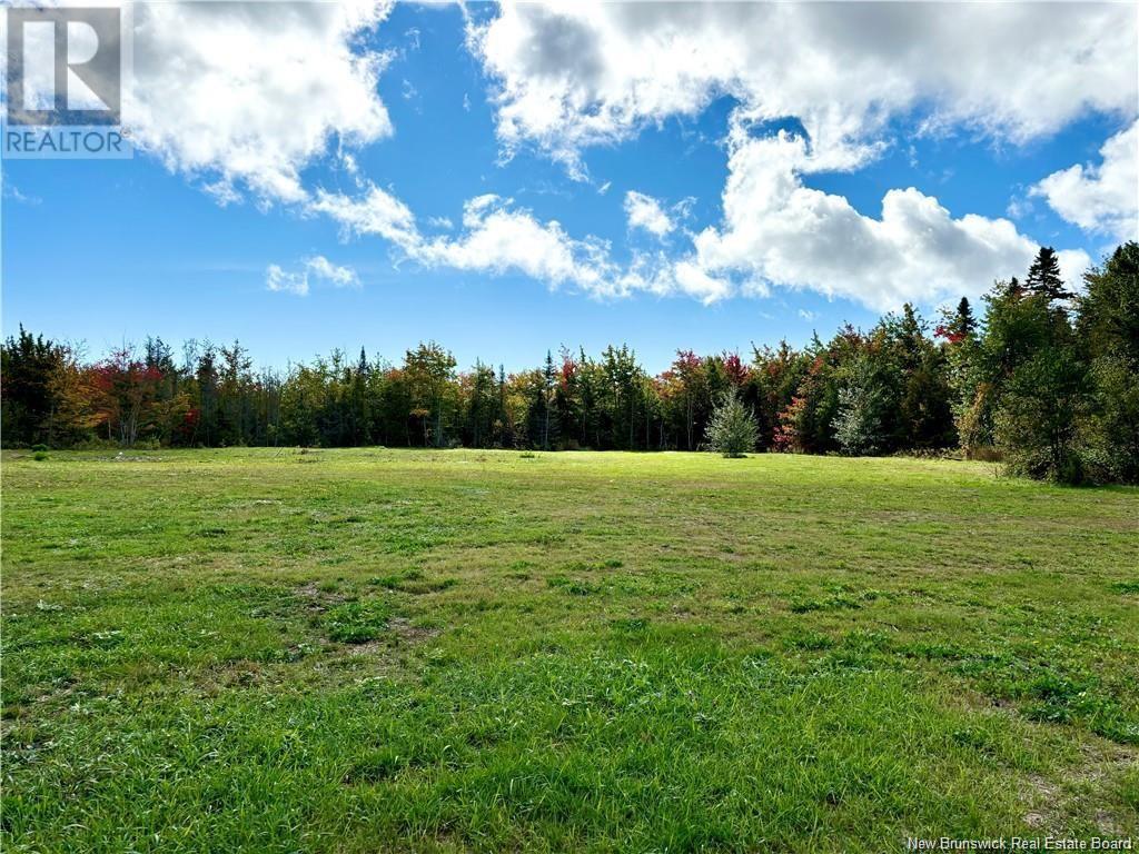 Property Photo:  2.96 Acres Principale Street  NB E9G 1P6 