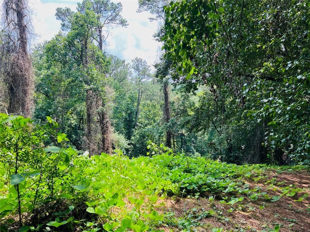 Property Photo: Lot 6 N Riverside Circle GA 30328