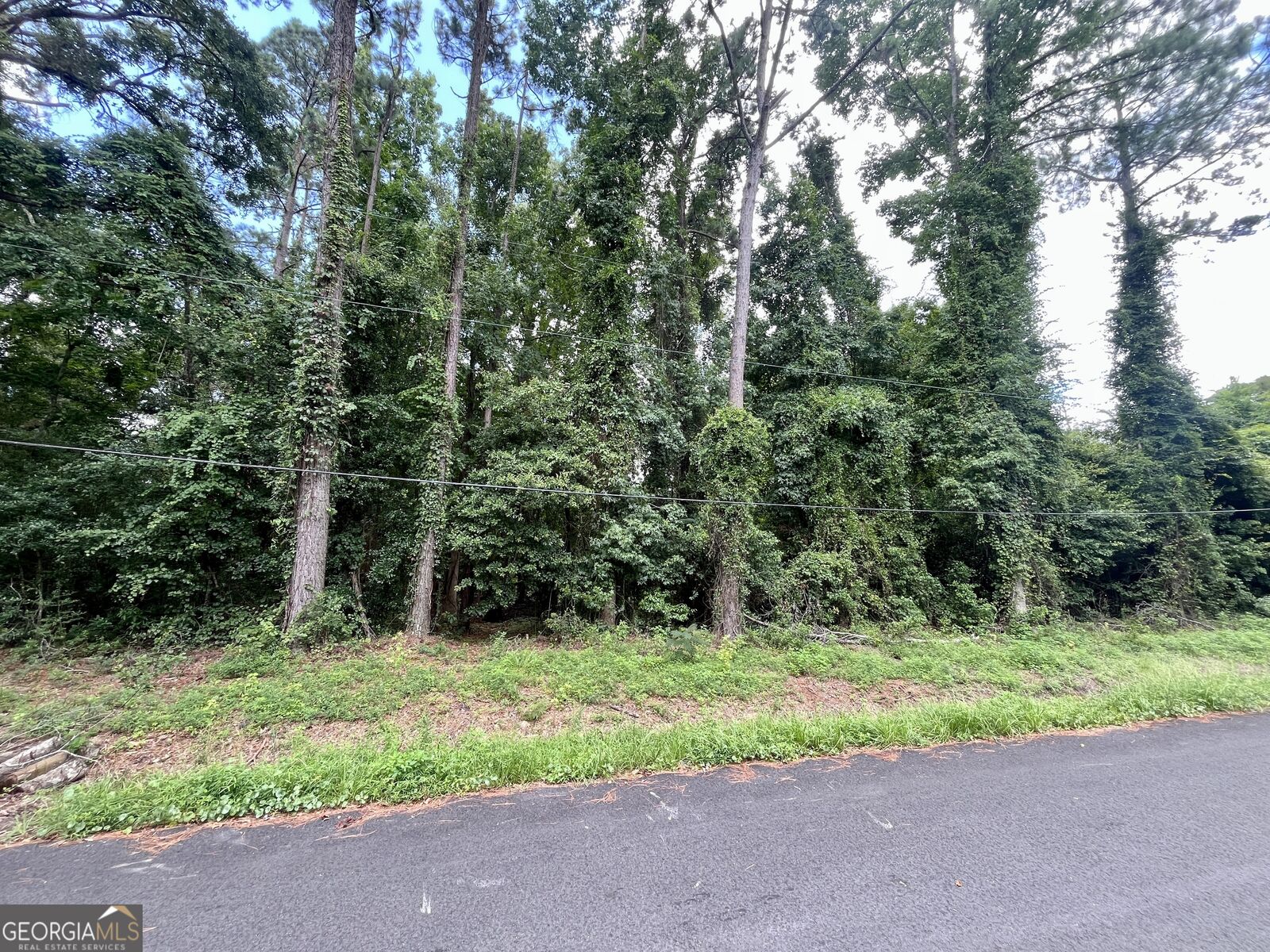 Property Photo: 109 Midway Circle GA 31523