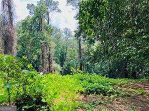 Property Photo: Lot 6 N Riverside Circle GA 30328