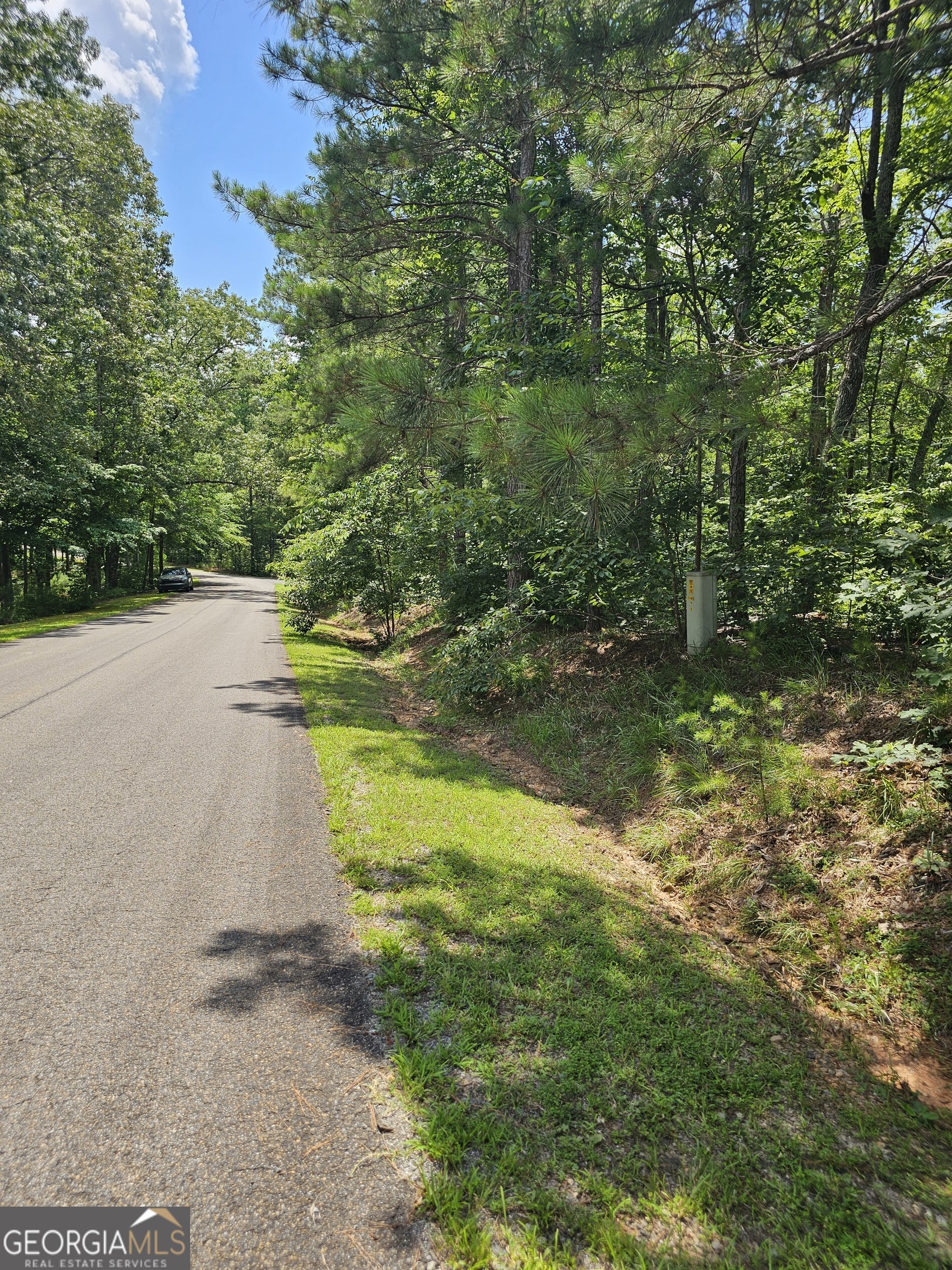 Property Photo: 0 Harris Ridge Drive GA 30540