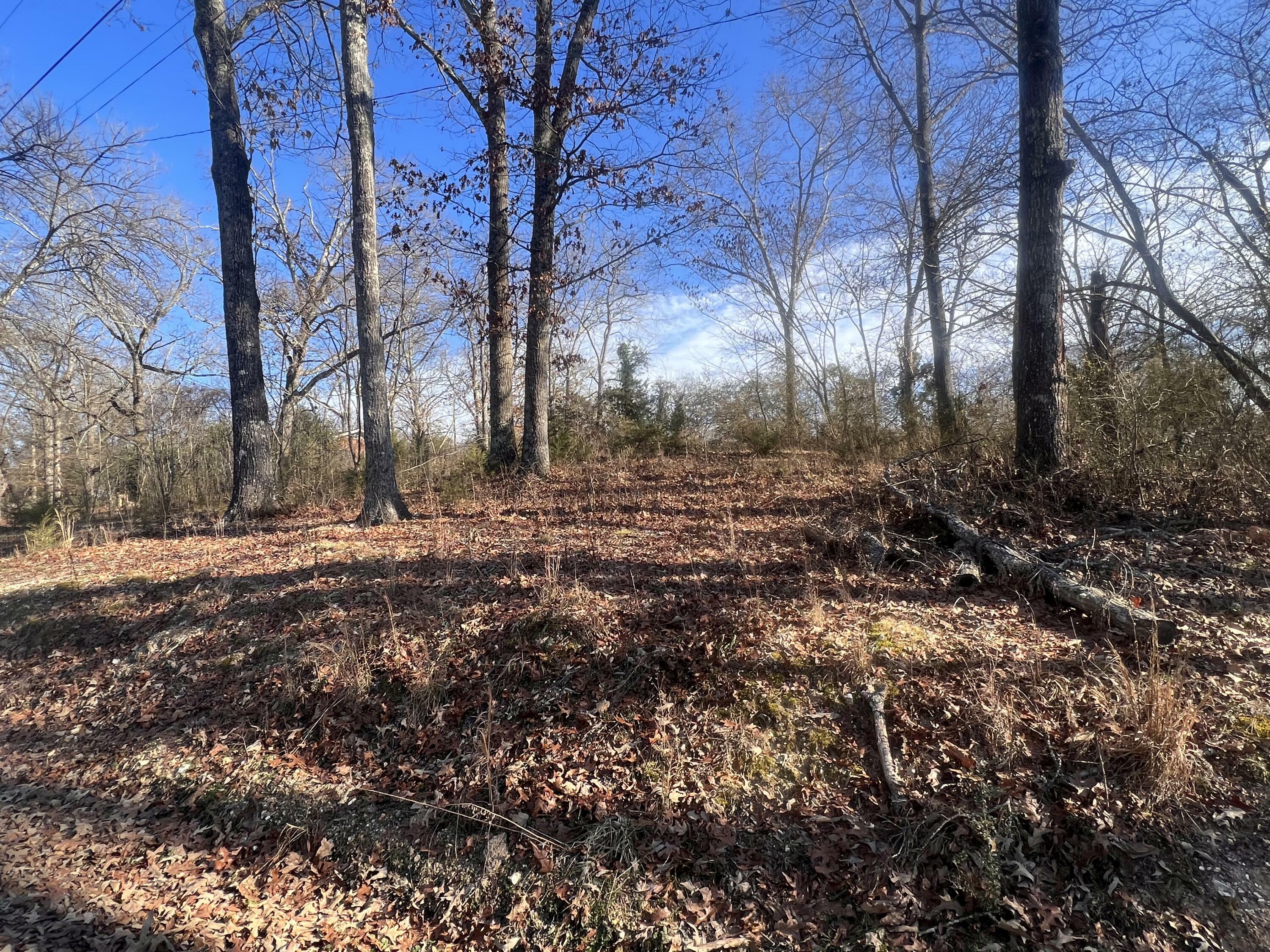 Property Photo:  0 S Ehrich Avenue  AL 35740 