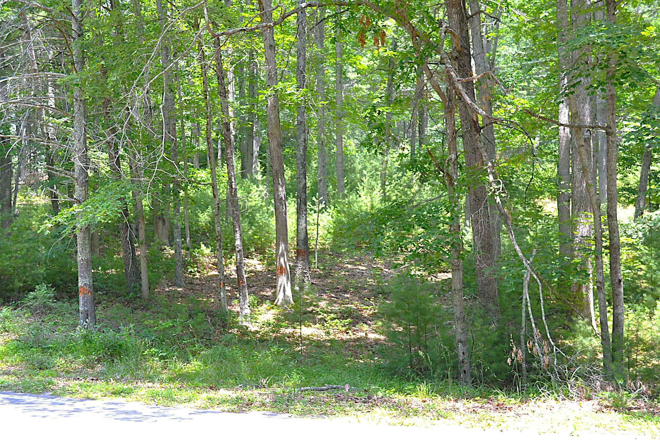 Property Photo: Moncove Lake Rd WV 24941