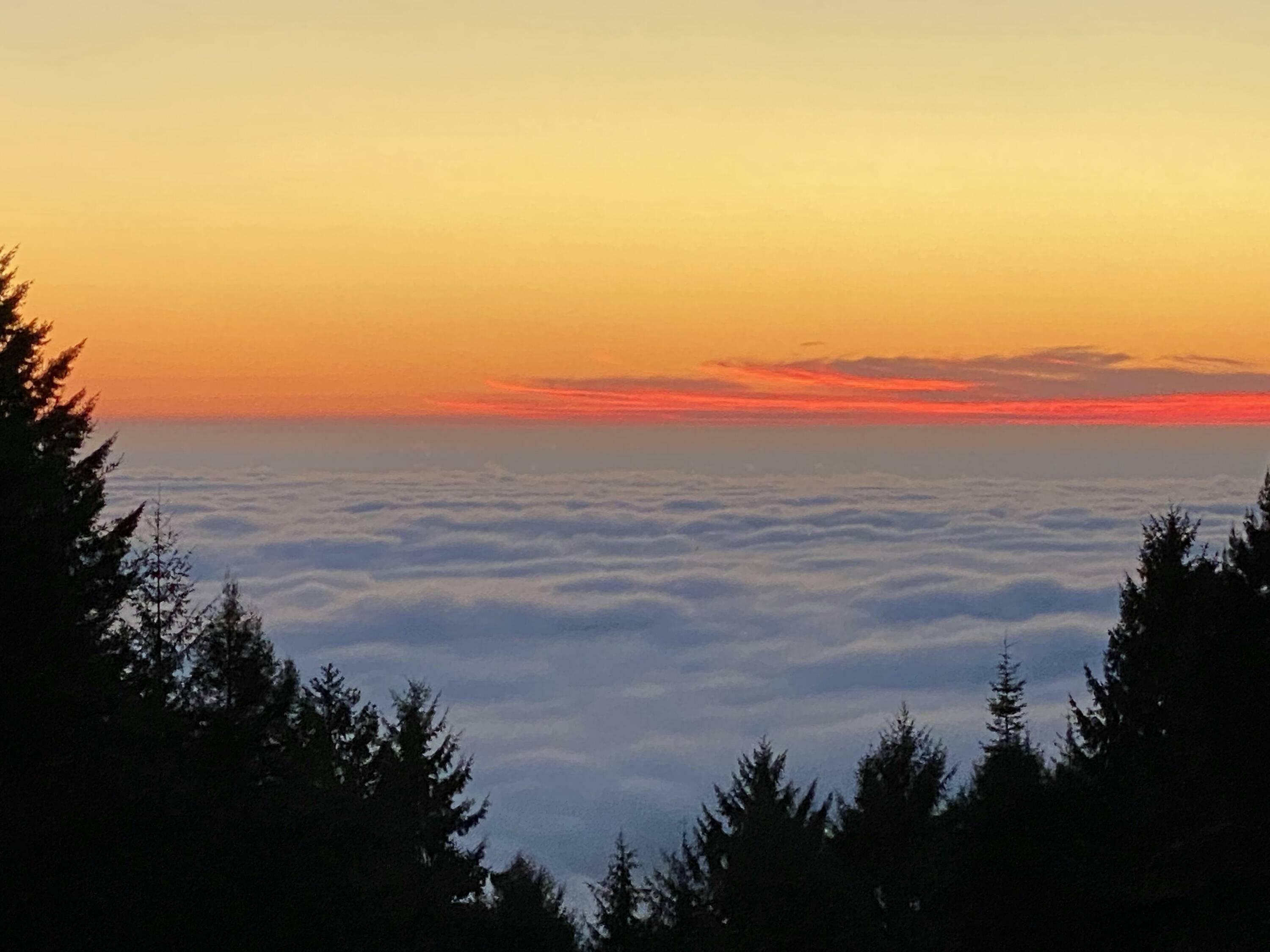 Property Photo:  2767 Fickle Hill Road  CA 95521 