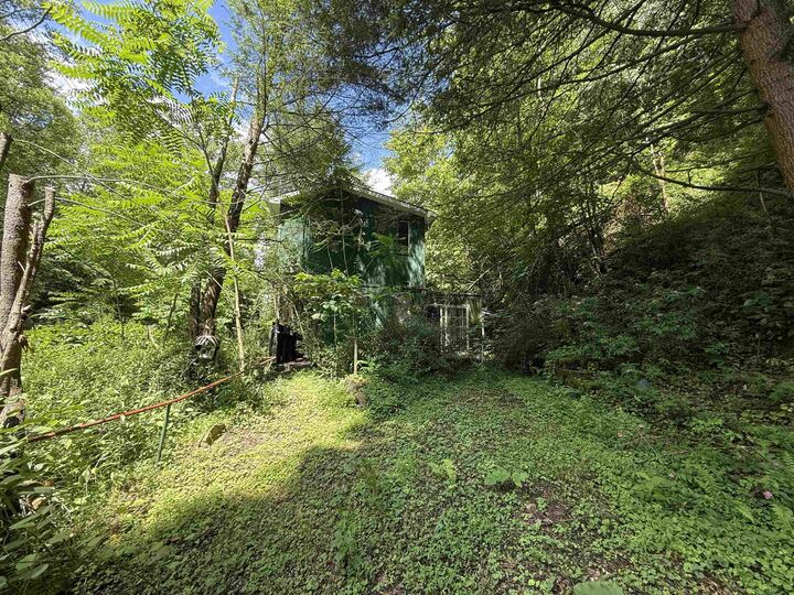 1528 Coco Road  Elkview WV 25701 photo