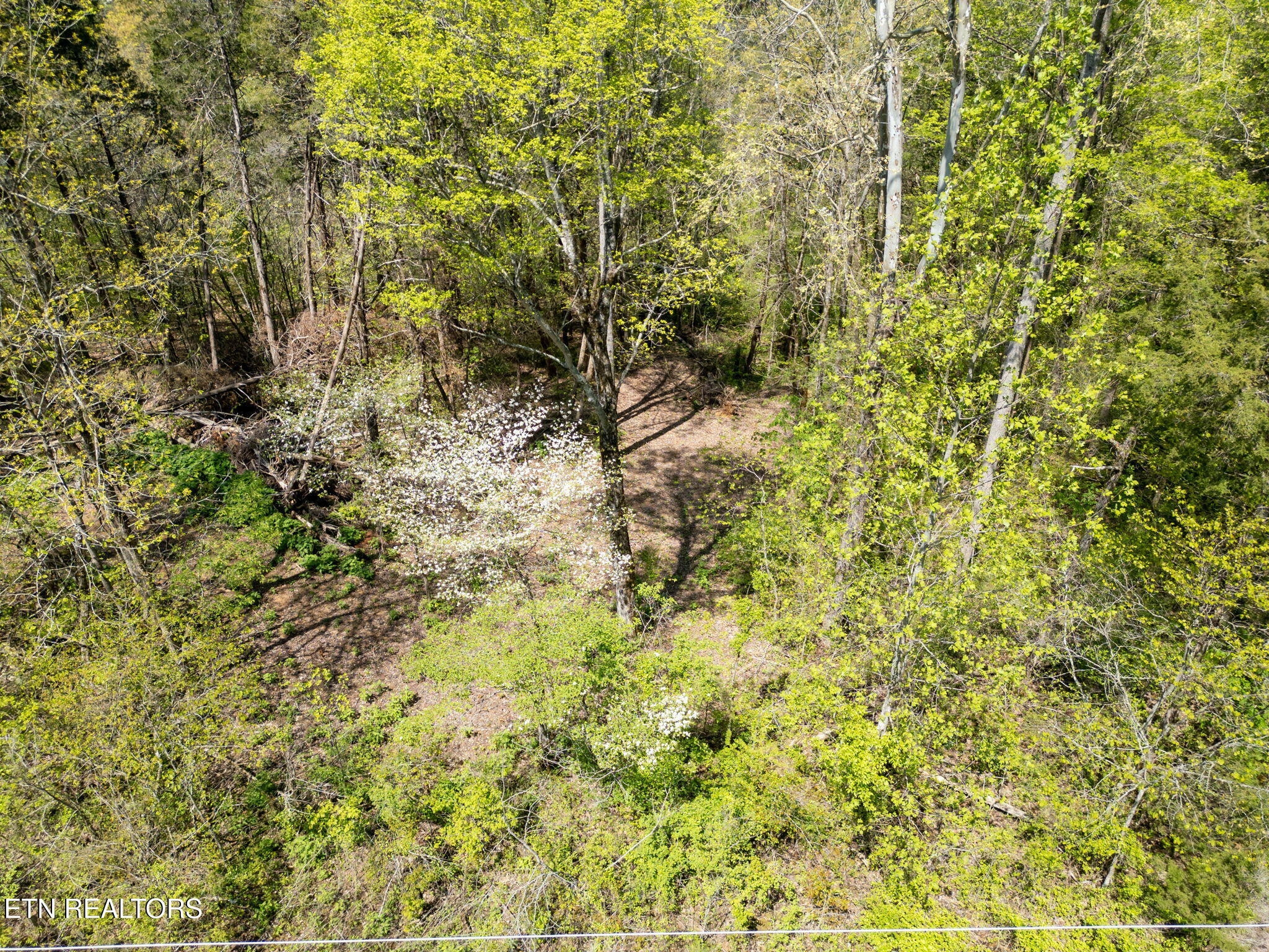 Property Photo: Highland Trace Rd TN 37866