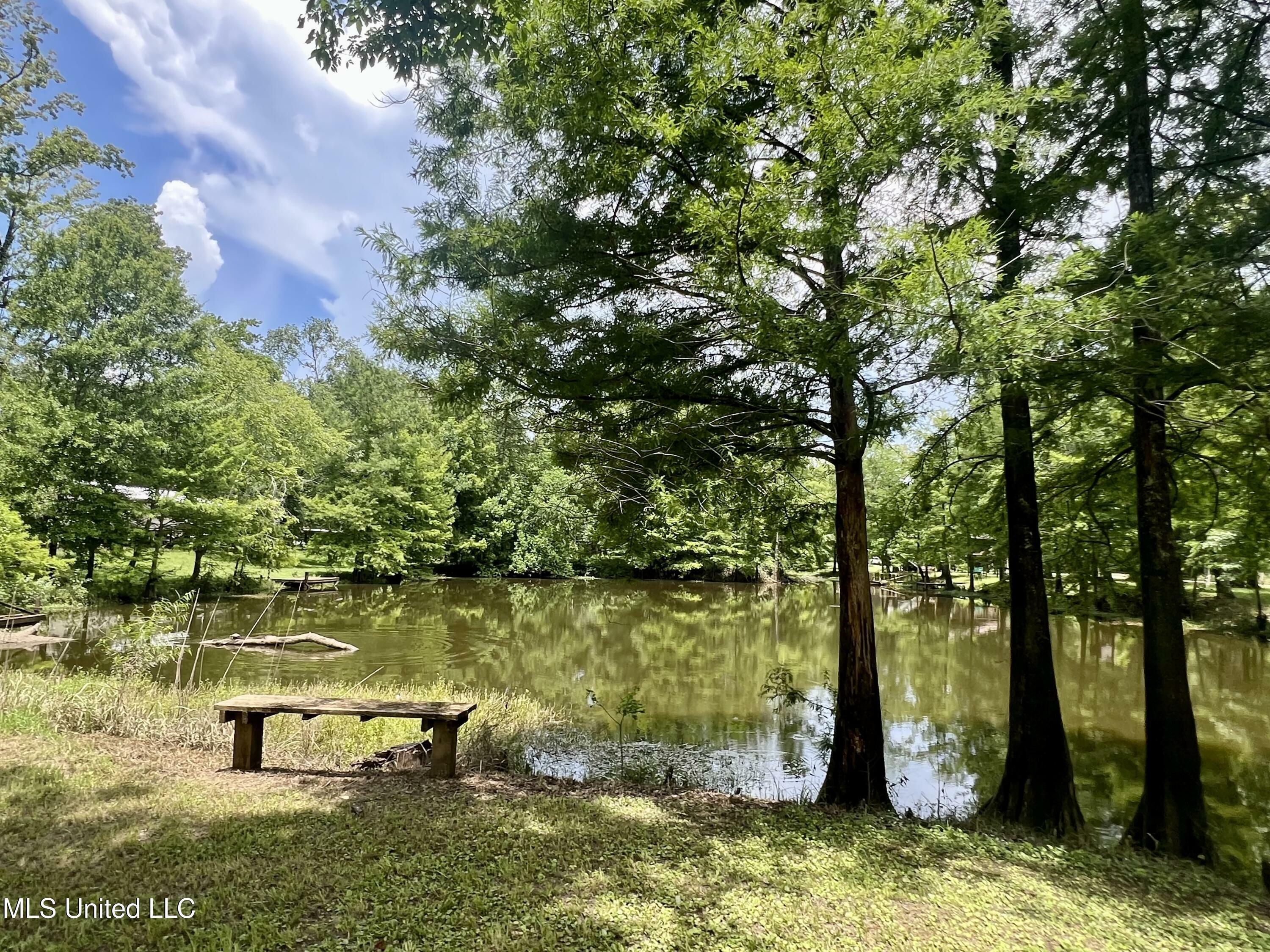 Property Photo:  197 Deer Lane  MS 39452 