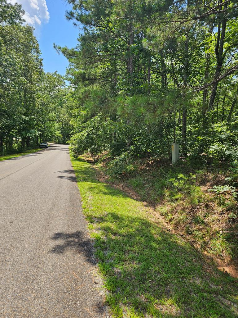 Property Photo:  0 Harris Ridge Drive  GA 30540 