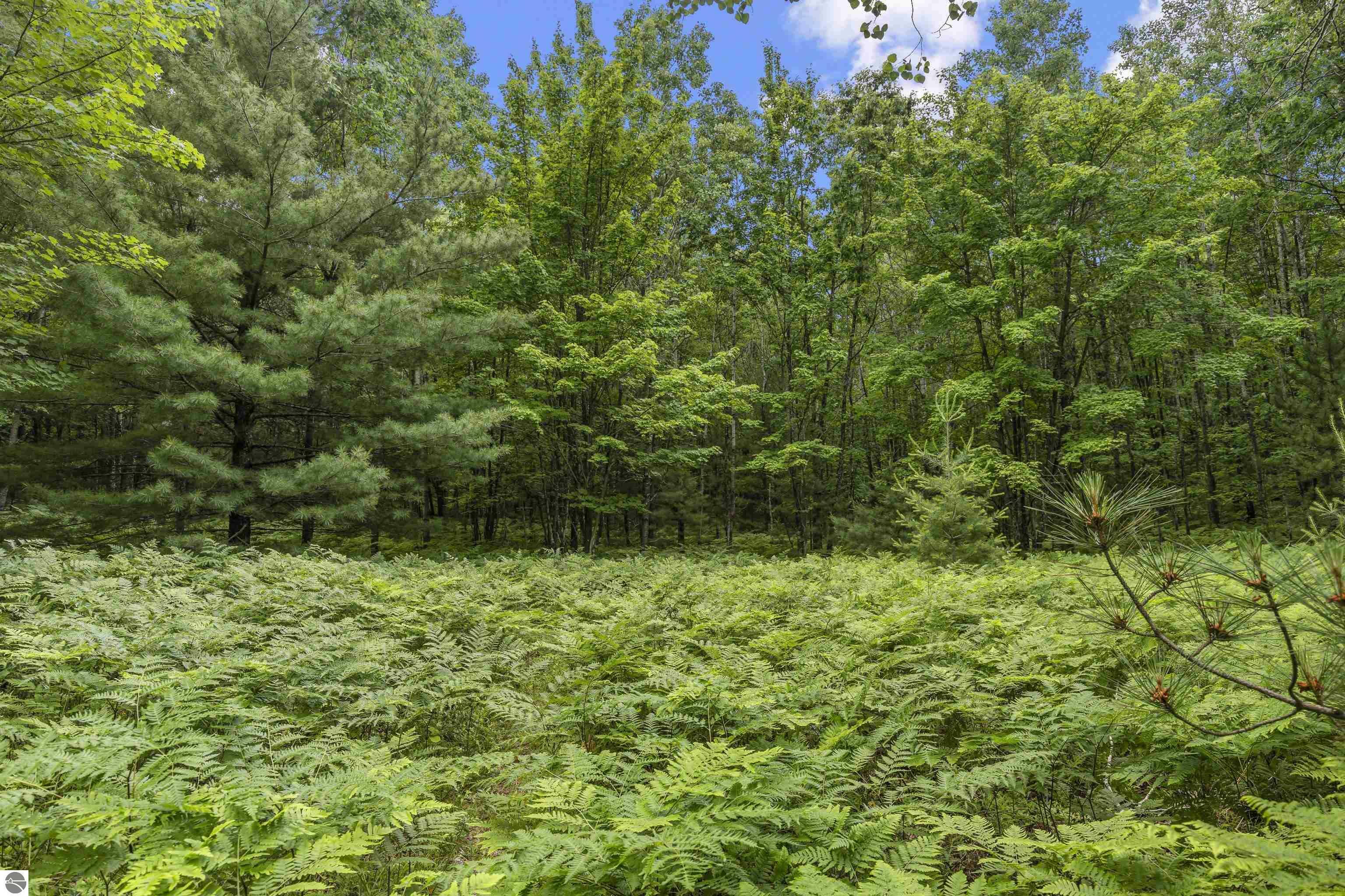 Property Photo: Lot 61 Bramblewood Drive MI 49601