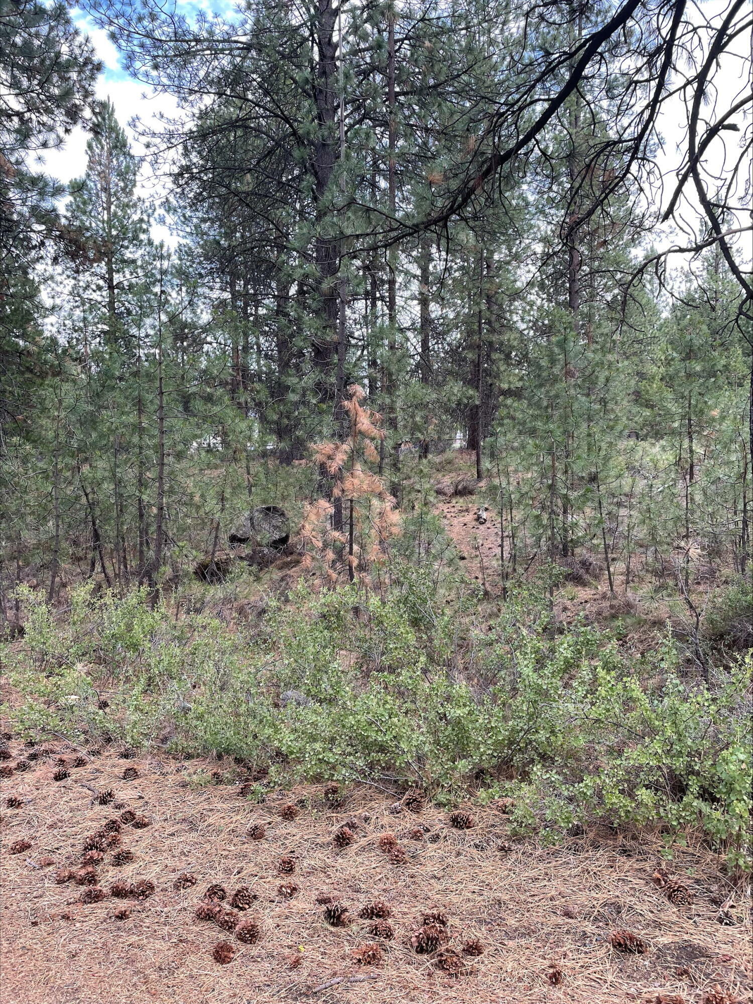 Property Photo: 60644 River Bend Drive OR 97702
