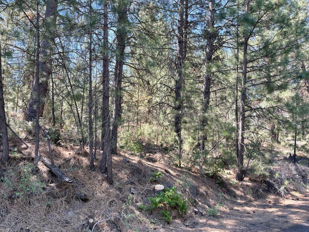 60644 River Bend Drive  Bend OR 97702 photo