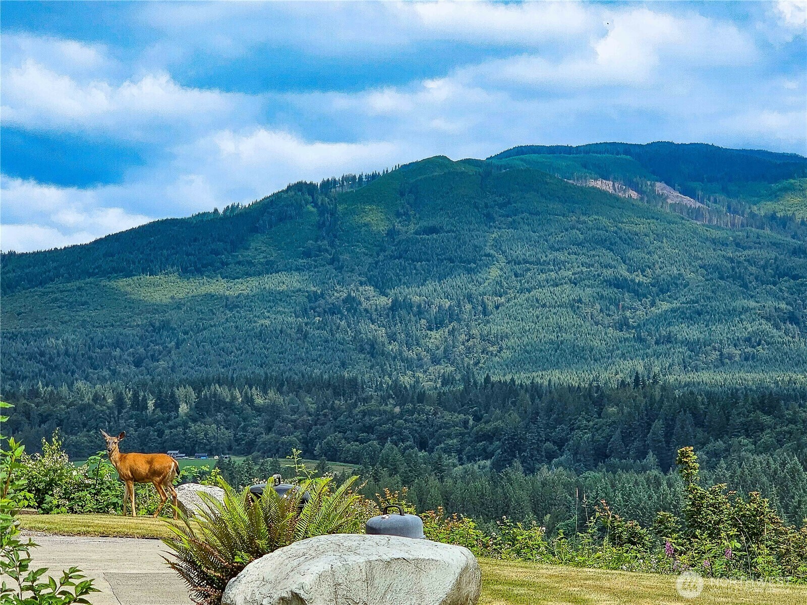 Property Photo: 22655 Nature View Drive WA 98284