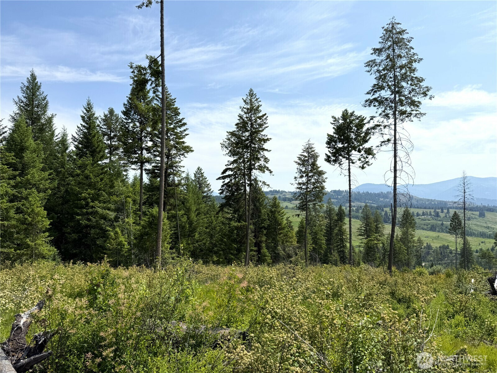 Property Photo:  0 Lot 3  Rockabye Lane  WA 99118 