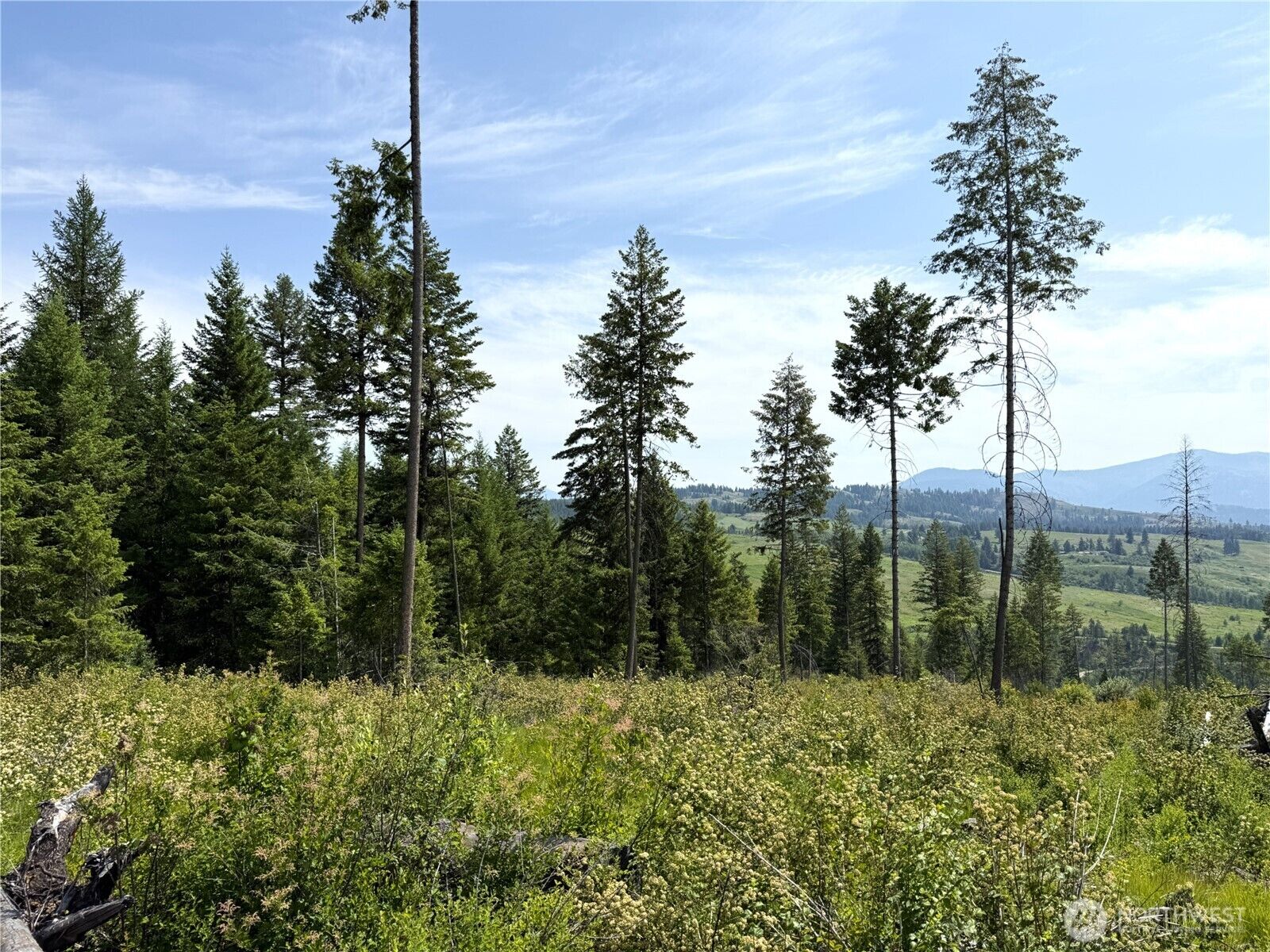 Property Photo:  0 Lot 3  Rockabye Lane  WA 99118 