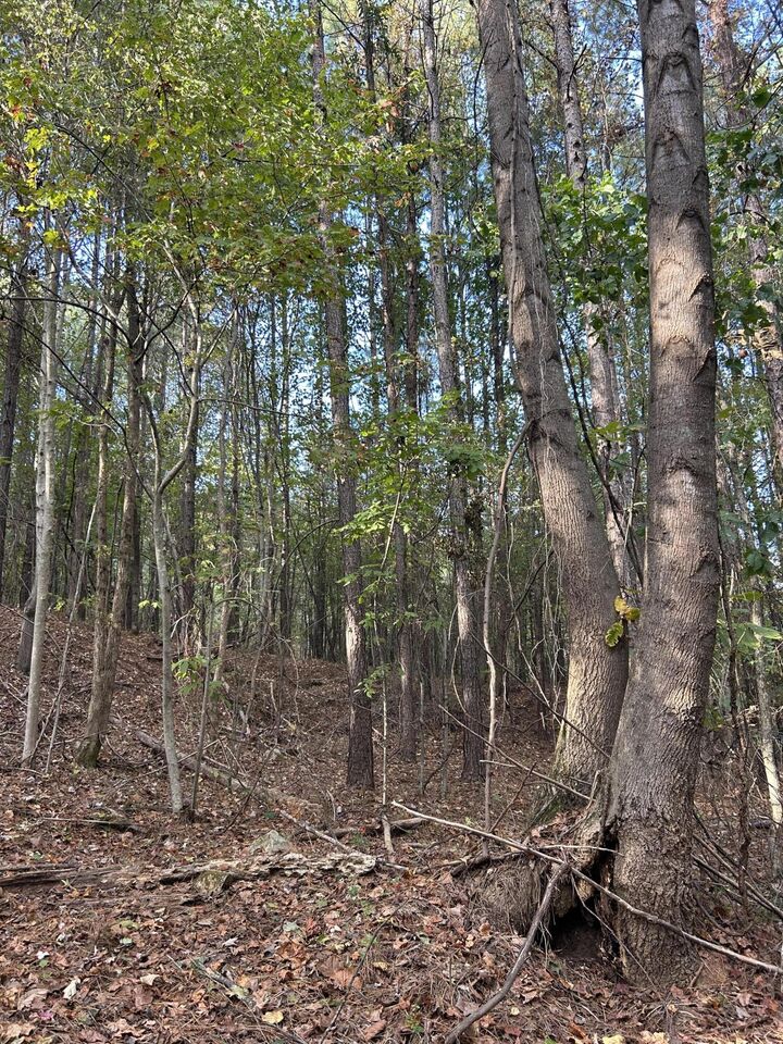 Property Photo:  000 Lone Mountain Road  TN 37338 