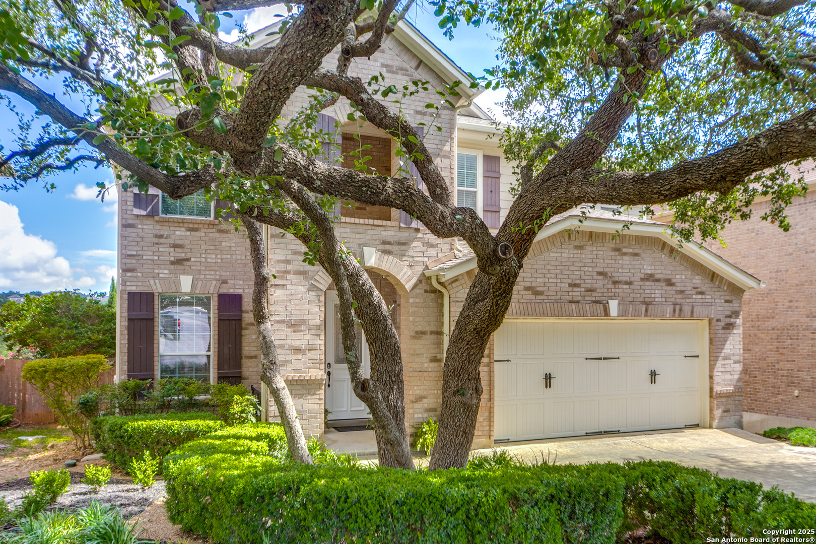 1403 Osnats Point  San Antonio TX 78258 photo