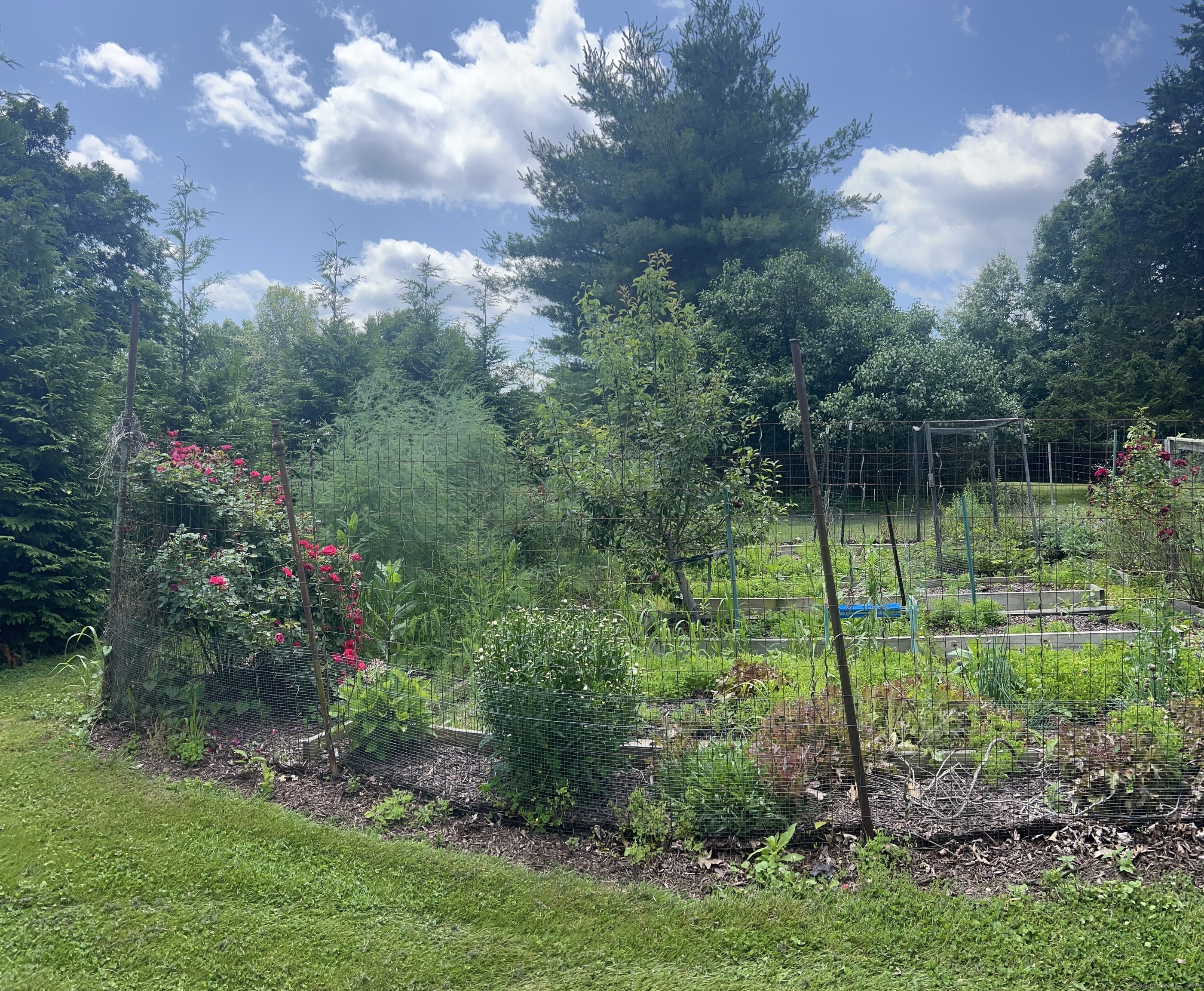 Property Photo: 185 Chimney Hill Road CT 06492