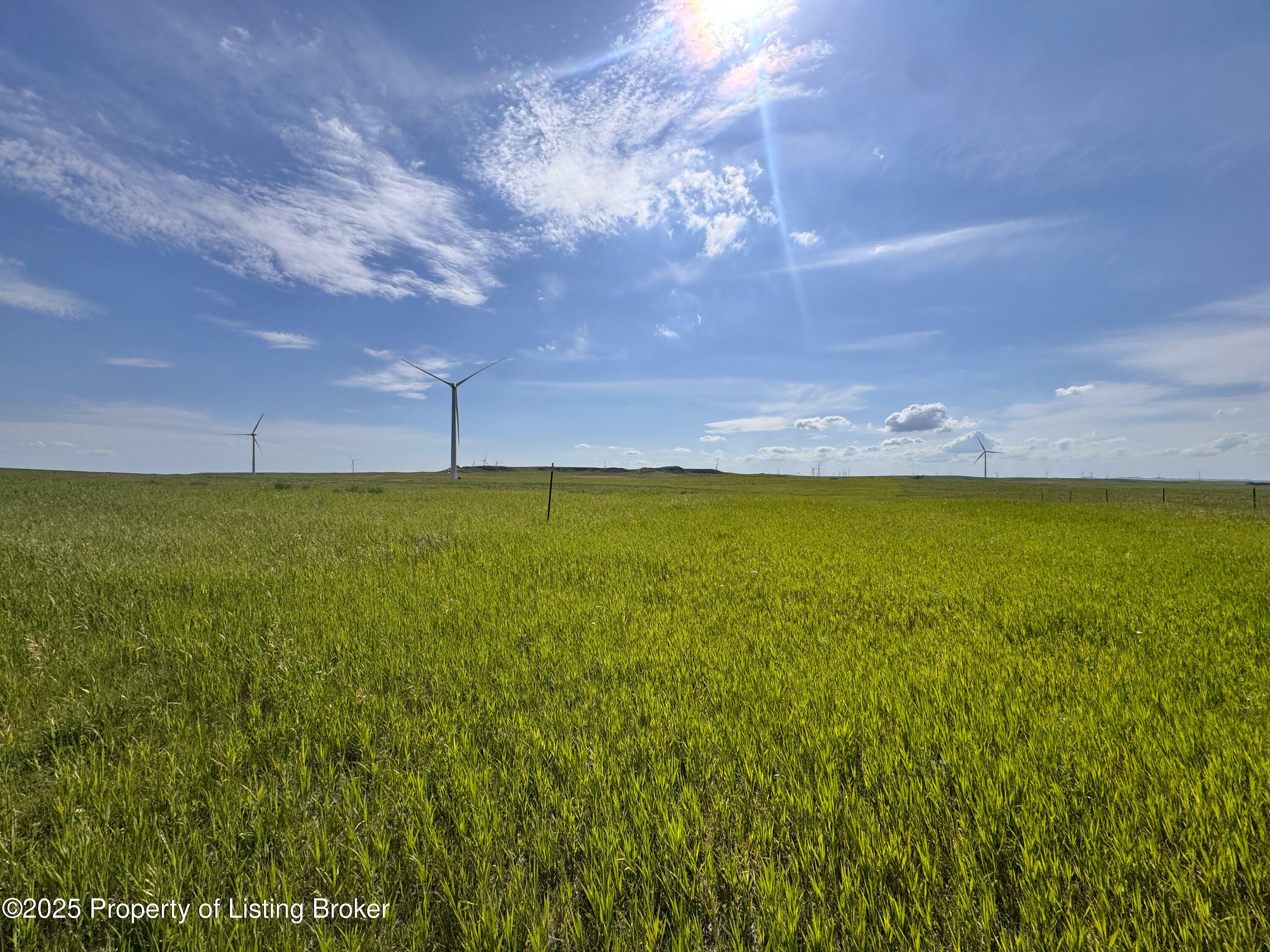 55 Street SW  New England ND 58647 photo