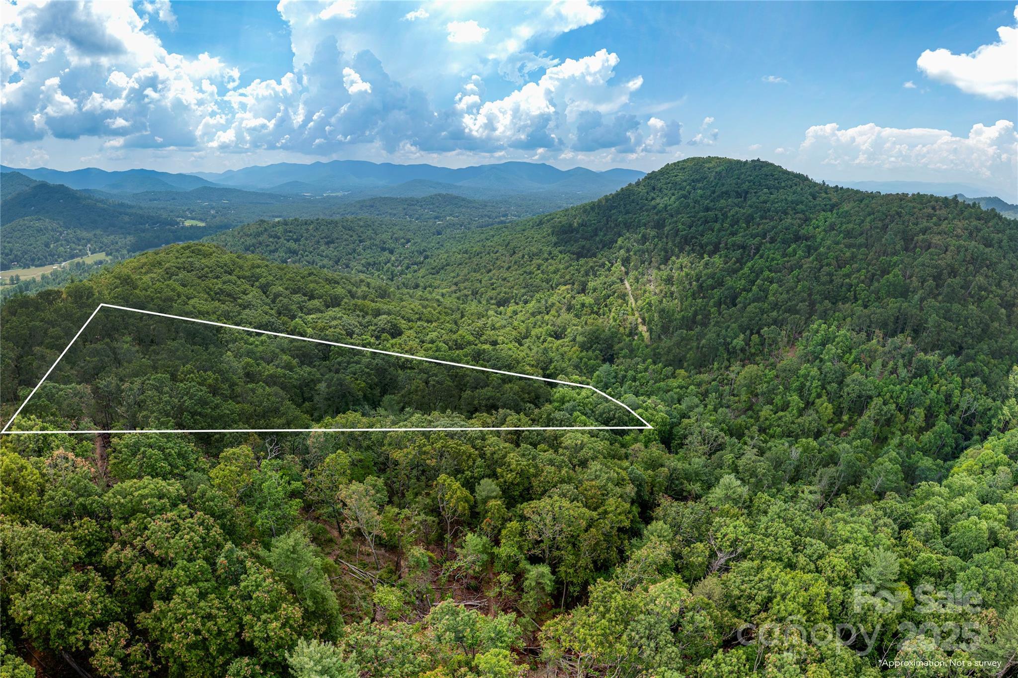 Property Photo: 99999 Independence Boulevard NC 28805