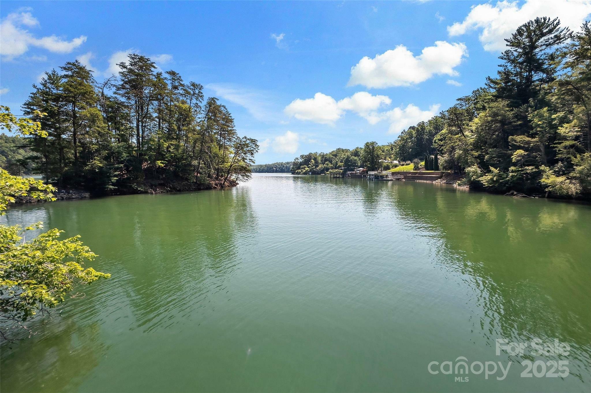 Property Photo: 1181 Forest Lake Heights Drive NC 28761