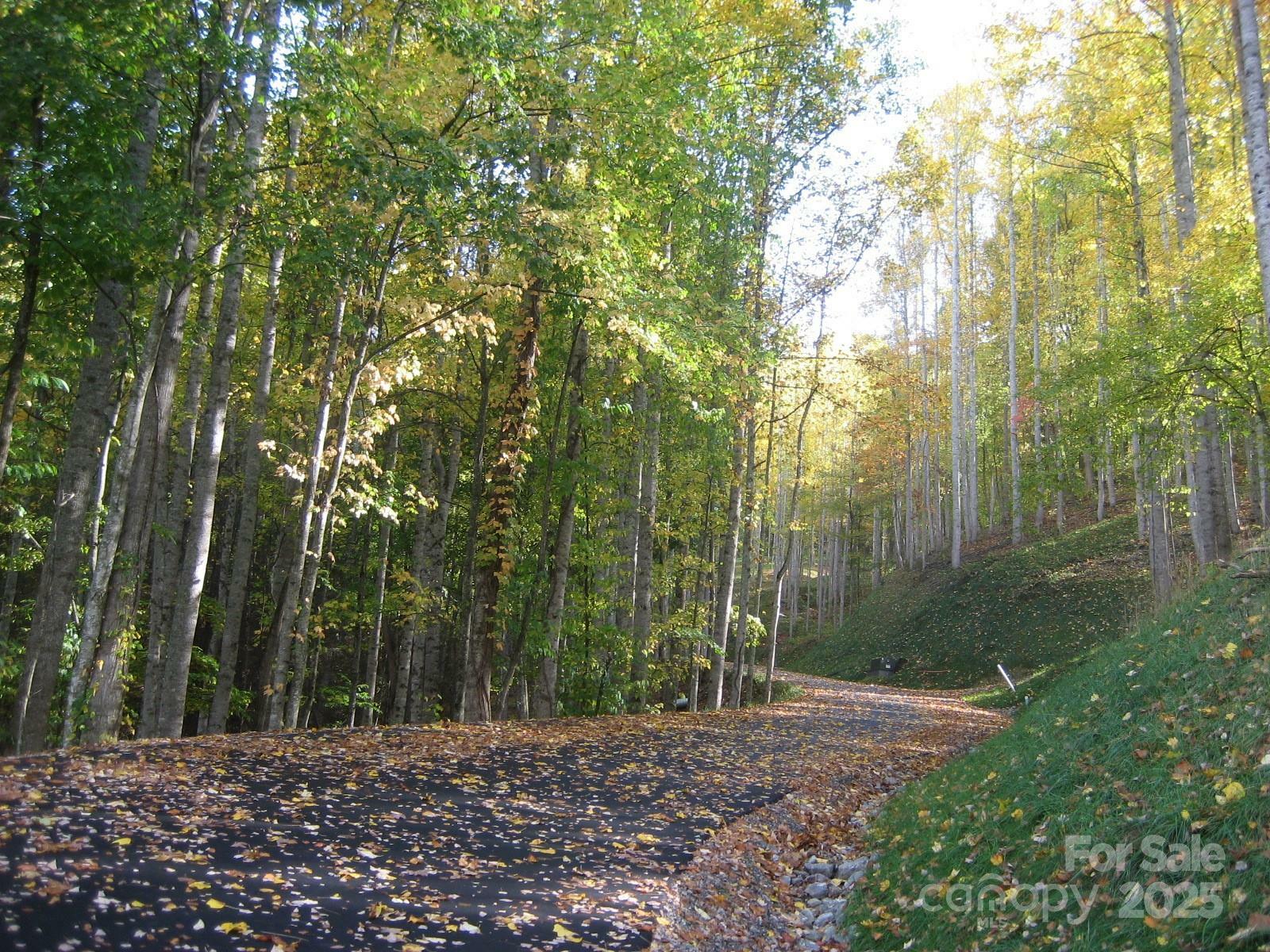 Property Photo:  11 Katua Trail  NC 28751 