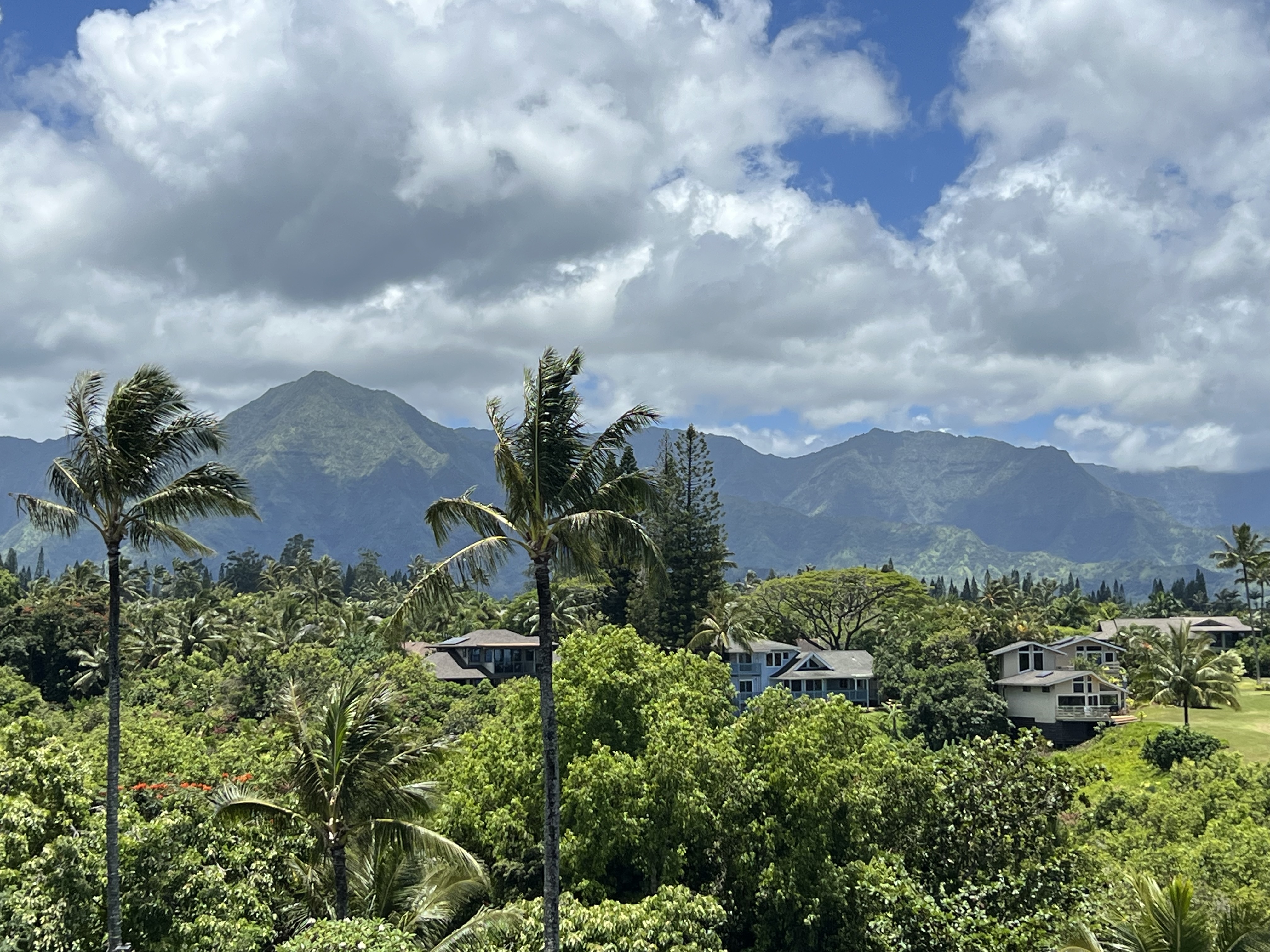 Property Photo: 3700 Kamehameha Rd D8 HI 96722