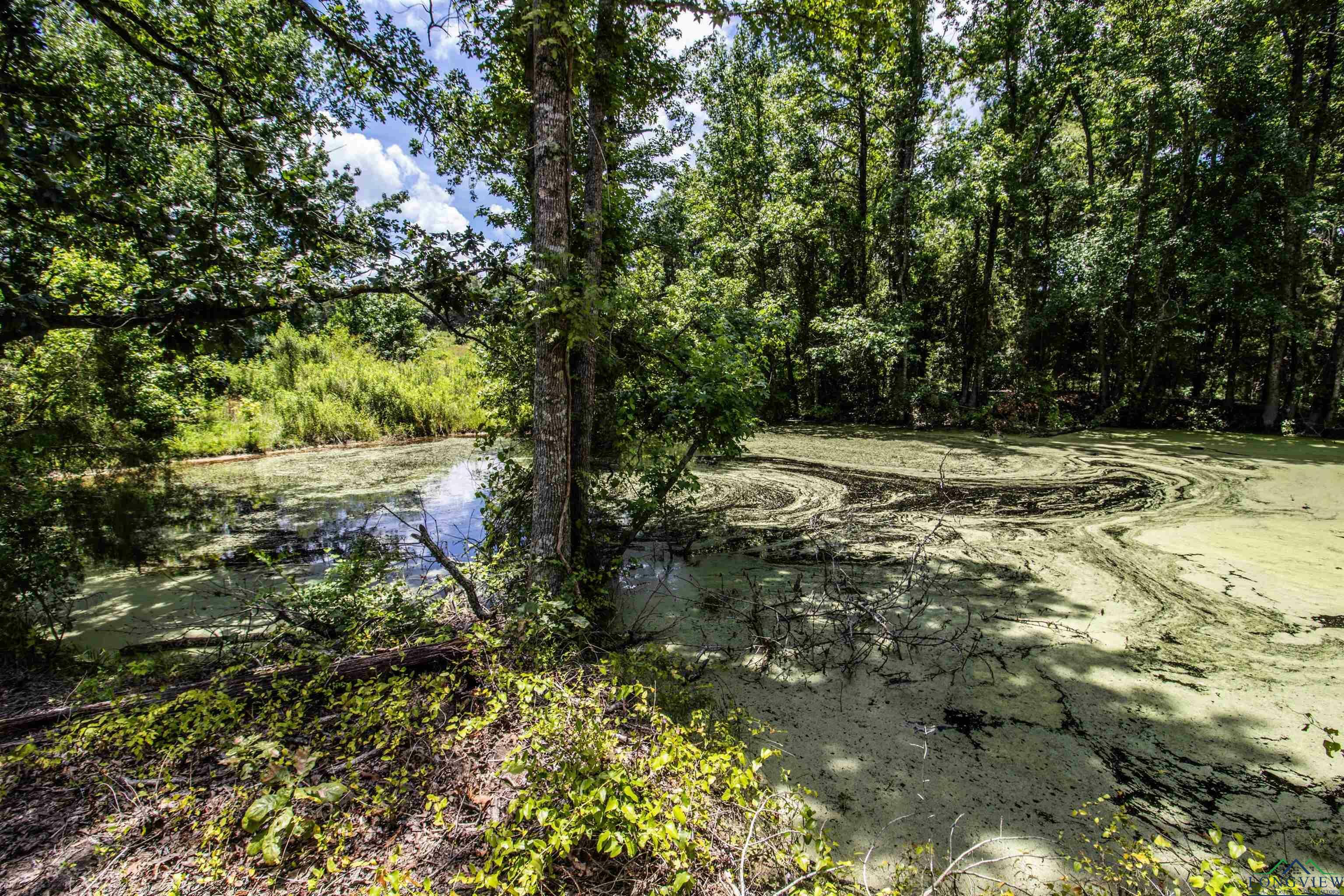 Property Photo:  Tbd E Cr 2185  TX 75691 