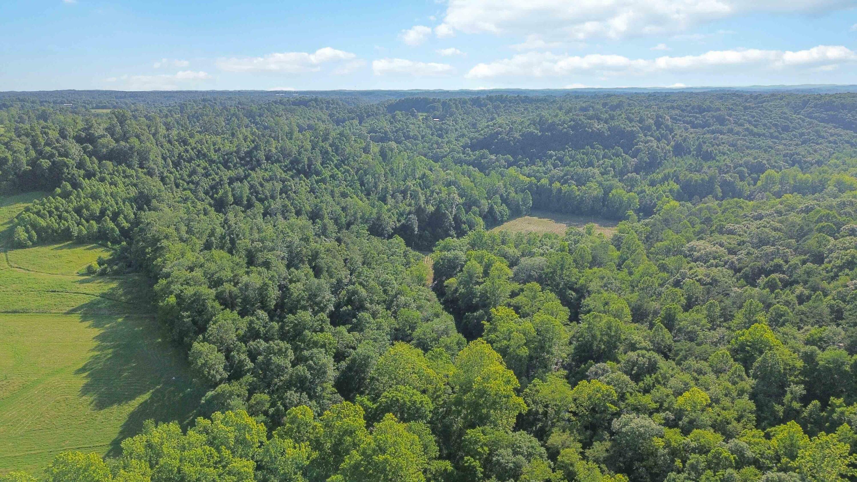 Property Photo: 9999 Hensley And Radford Road KY 40729