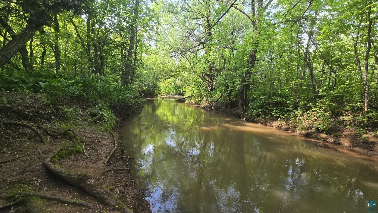 Property Photo: 10550 Flagg River Rd WI 54865