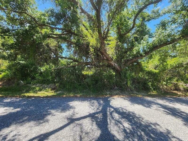Property Photo: Sevilla Street FL 34287