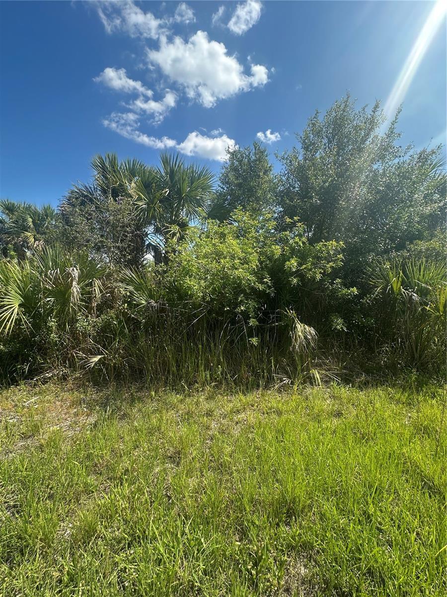 Property Photo: Snowdrift Terrace FL 34288