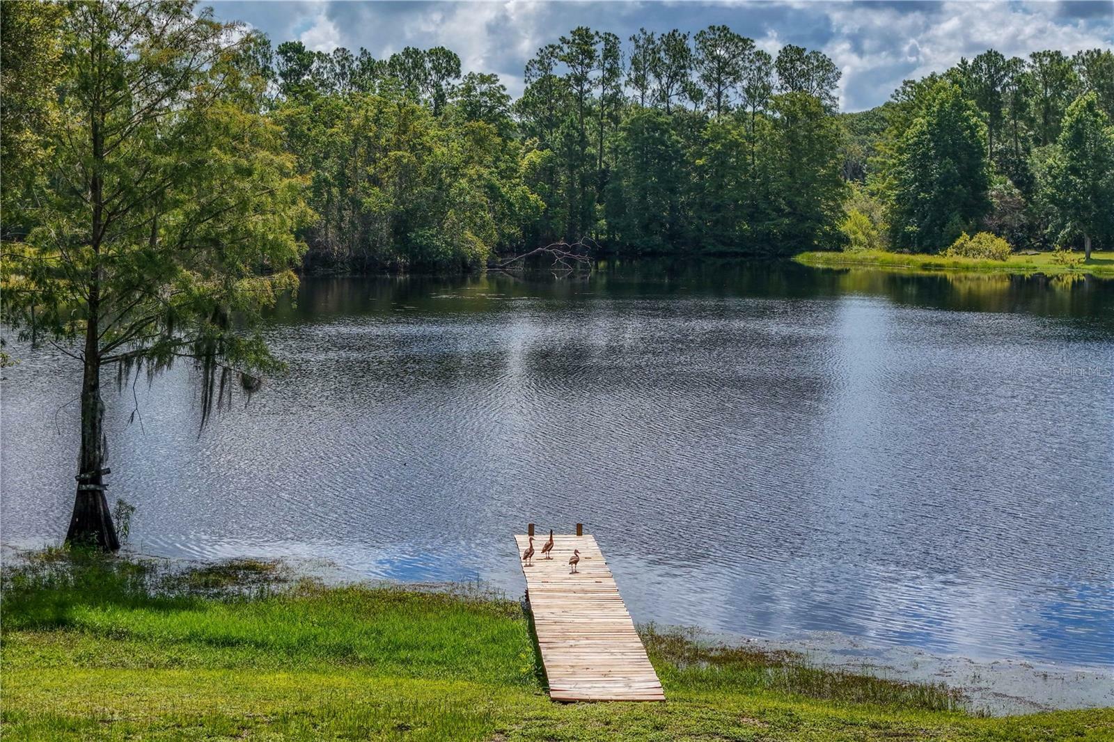 Property Photo: 168 Pond Road FL 32757