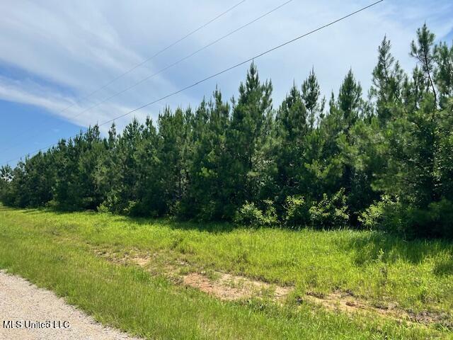 Pleasant Hills Dr. Drive  Lucedale MS 39452 photo